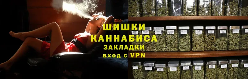 Бошки марихуана Amnesia  Кандалакша 